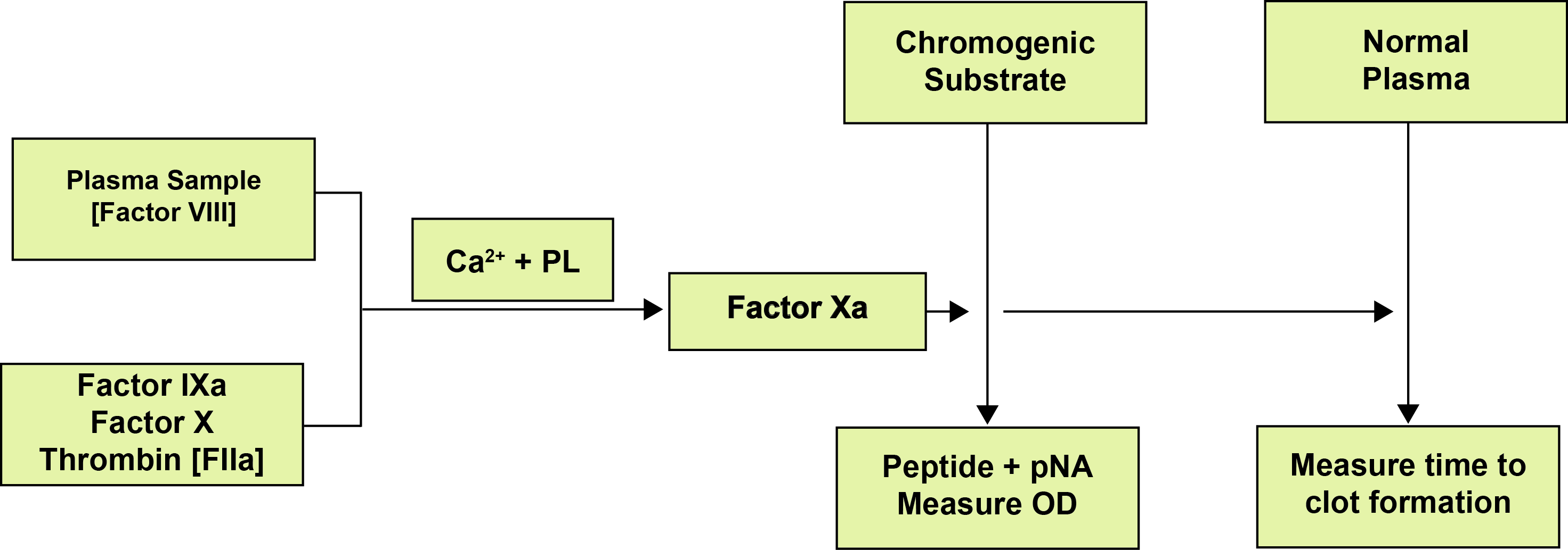 Figure outlining the Chromogenci FVIII assay